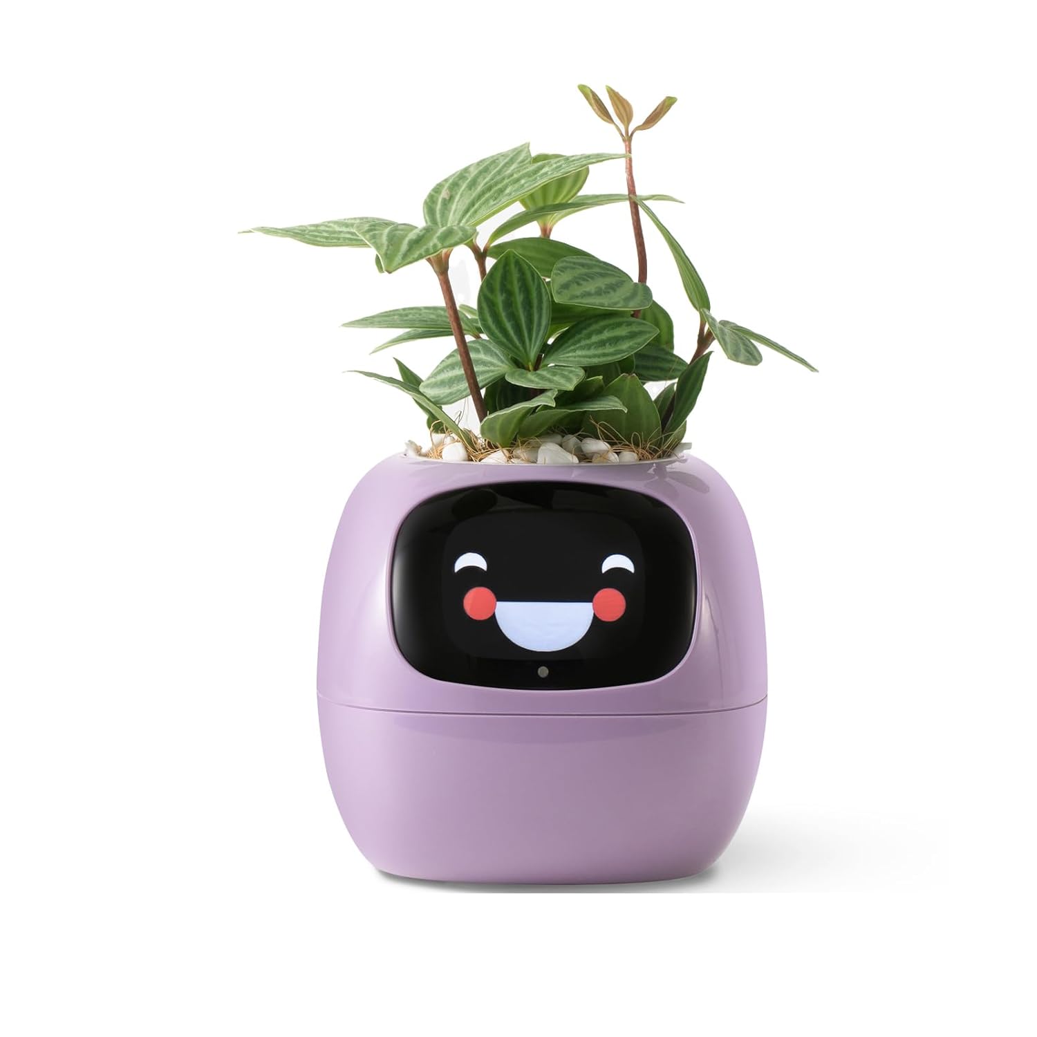 IVY™ Smart Pet Planter Robot